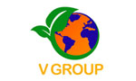 V Group V Group